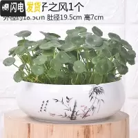 三维工匠无孔陶瓷水培花盆水仙铜钱睡莲荷花多肉特大号花盆 无孔-君子之风1个 中等花盆容器