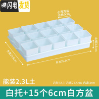 三维工匠控根多肉花盆套装组合塑料创意个性简约透气北欧风肉肉小盆器 白托+15个白盆(6cm盆) 中小花盆容器