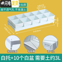 三维工匠控根多肉花盆套装组合塑料创意个性简约透气北欧风 [新款加厚盆]+[排水白托]+10个白盆(7.35cm盆花盆容器