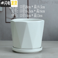 三维工匠陶瓷花盆北欧简约个性高白色大号室外客厅带托盘绿萝 北欧(亚光白2056) 中等花盆容器