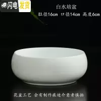三维工匠铜钱花盆陶瓷水培碗莲一叶莲水仙花金钱专用无孔大号多肉 肚径16白水培盆 大花盆容器