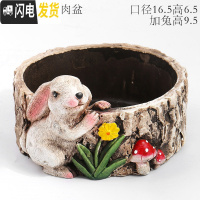 三维工匠大号特大号口径蘑菇房子小号可爱少女心延禧微景观多肉花盆器拼盘 大号兔子多肉盆 中等花盆容器