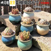 三维工匠多肉花盆陶瓷粗陶透气室内简约肉肉盆栽特大口径花盆 窑变多肉盆组合6个 中等花盆容器