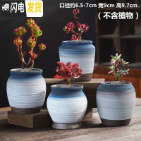 三维工匠多肉花盆陶瓷粗陶透气室内简约肉肉盆栽特大口径花盆 老桩四个一组-蓝天 中等花盆容器