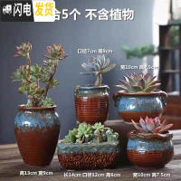 三维工匠多肉花盆陶瓷粗陶透气室内简约肉肉盆栽特大口径花盆 奈斯组合5个 中等花盆容器