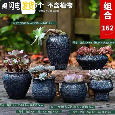 三维工匠多肉花盆陶瓷粗陶透气室内简约肉肉盆栽特大口径花盆 铁锈釉-08组合6个 中等花盆容器
