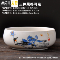 三维工匠水仙花盆铜钱水培花盆陶瓷无孔大室内碗莲荷花金钱专用盆 款式-16 大花盆容器