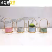 三维工匠ins北欧小清新多肉陶瓷小花盆创意个性室内好看铁艺简约客厅摆件 懒人套餐5仙人柱盆仙人柱架盆4件套 中花盆容器