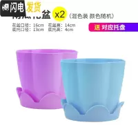 三维工匠大号加厚塑料花卉多肉花盆家用园艺种莓苗大盆栽绿萝花盆送托盘 加厚南瓜花盆混色2个装 大花盆容器