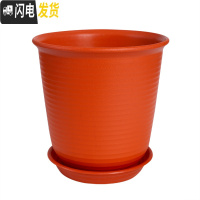 三维工匠仿陶瓷塑料花盆大号加厚阳台绿植创意绿萝盆栽多肉盆 送托盘 高款桃红色 4号[口径24cm]花盆容器