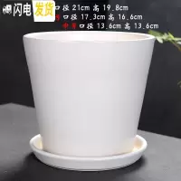 三维工匠陶瓷花盆简约绿萝白色桌面透气花盆带陶瓷托盘 101哑白(配陶瓷托盘) 大花盆容器