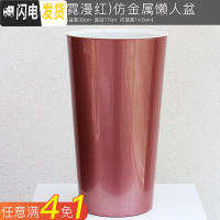 三维工匠懒人绿萝吊兰塑料透明免浇水花盆小绿箩自动吸水大号创意水培花盆 高筒盆A409(玫瑰金) 中等花盆容器