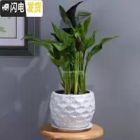 三维工匠欧式花卉陶瓷植物花盆创意鲜花摆件阳台虎尾兰吊兰花盆大号花卉盆 经典格纹银裂(含托盘) 大花盆容器