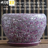 三维工匠加厚花盆陶瓷大号特大号带托盘绿萝盆景家用兰花多肉花盆 S1CZ-水晶紫-1单个 中等花盆容器