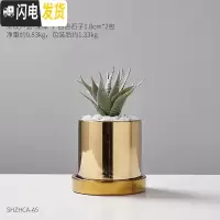 三维工匠北欧ins风金色轻奢陶瓷花盆镀金 创意个性现代简约盆栽装饰小摆件 仿真条纹芦荟+镀金小花盆[送托盘] 小花盆容器