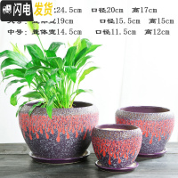 三维工匠加厚花盆陶瓷大号特大号带托盘绿萝盆景家用兰花多肉花盆 S1CZ-紫配红-单个 大花盆容器