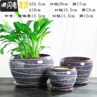 三维工匠加厚花盆陶瓷大号特大号带托盘绿萝盆景家用兰花多肉花盆 S1CZ-紫色线条-单个 中等花盆容器