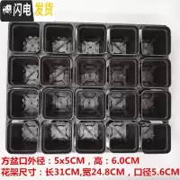 三维工匠掌柜推荐桌面简约多肉植物花盆小黑方扦插育苗塑料方盆价优 黑色5.5CM60个20孔花架3个 中小花盆容器