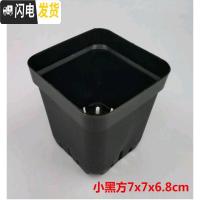 三维工匠掌柜推荐桌面简约多肉植物花盆小黑方扦插育苗塑料方盆价优 黑色7x7x6.8cm100个 中小花盆容器