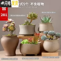 三维工匠多肉花盆粗陶透气大口径肉肉植物中小盆栽简约创意老桩陶瓷盆器 组合281 中等花盆容器