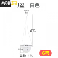 三维工匠吊盆花盆吊兰蓝绿萝垂钓盆塑料植物挂钩盆栽悬挂式挂起来的 平吊盆6号[白色] 中等花盆容器