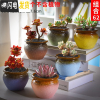 三维工匠多肉花盆套装组合创意个性简约植物盆器室内肉肉花盆批发 如图款式7 中等花盆容器