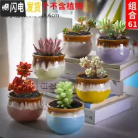 三维工匠多肉花盆套装组合创意个性简约植物盆器室内肉肉花盆批发 如图款式6 中等花盆容器