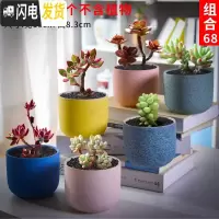 三维工匠多肉花盆套装组合创意个性简约植物盆器室内肉肉花盆批发 如图款式12 中等花盆容器
