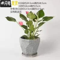 三维工匠陶瓷花盆北欧特大号中号简约桌面多肉盆栽绿萝吊兰带托盘 深灰色228石纹深灰色 中等花盆容器