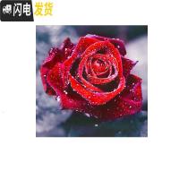三维工匠2020新款5D钻石画客厅满钻玫瑰简单自己绣十字绣粘贴异形 [框+画][满钻全贴50*50厘米]画+框组合更优惠