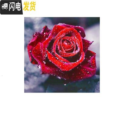 三维工匠2020新款5D钻石画客厅满钻玫瑰简单自己绣十字绣粘贴异形 [框+画][满钻全贴50*50厘米]画+框组合更优惠