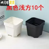 三维工匠经典加强特厚黑白小方大方多肉家庭园艺植物塑料磨砂浅方花盆 黑色浅方10个 10.5cm口径花盆容器