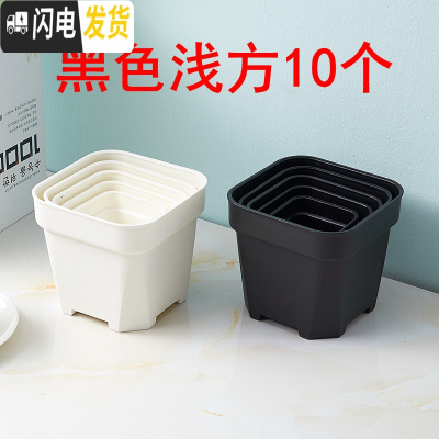 三维工匠经典加强特厚黑白小方大方多肉家庭园艺植物塑料磨砂浅方花盆 黑色浅方10个 10.5cm口径花盆容器