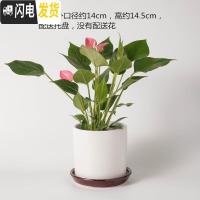 三维工匠陶瓷花盆北欧特大号中号简约桌面多肉盆栽绿萝吊兰带托盘 钻石白193钻石白 大花盆容器