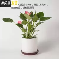 三维工匠陶瓷花盆北欧特大号中号简约桌面多肉盆栽绿萝吊兰带托盘 钻石白193钻石白 大花盆容器