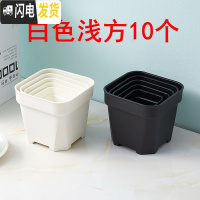 三维工匠经典加强特厚黑白小方大方多肉家庭园艺植物塑料磨砂浅方花盆 白色浅方10个 8cm口径花盆容器