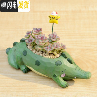 三维工匠zakka田园多肉花盆可爱卡通动物花盆鲸鱼花园派对创意小花盆套餐 鳄咻咻+星王子+星星配土+铺面石 小花盆容器