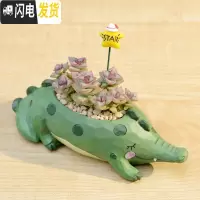 三维工匠zakka田园多肉花盆可爱卡通动物花盆鲸鱼花园派对创意小花盆套餐 鳄咻咻+星王子+星星配土+铺面石 小花盆容器