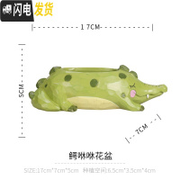 三维工匠zakka田园多肉花盆可爱卡通动物花盆鲸鱼花园派对创意小花盆套餐 绿色鳄咻咻单盆 小花盆容器
