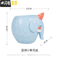 三维工匠zakka田园多肉花盆可爱卡通动物花盆鲸鱼花园派对创意小花盆套餐 浅蓝色蓝调小象单盆 小花盆容器
