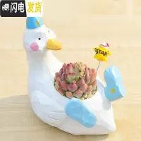 三维工匠zakka田园多肉花盆可爱卡通动物花盆鲸鱼花园派对创意小花盆套餐 杏色哒克+蓝苹果+星星 小花盆容器