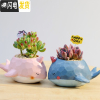 三维工匠zakka田园多肉花盆可爱卡通动物花盆鲸鱼花园派对创意小花盆套 鲸鱼一对+乙女心+绮罗双头+花插配土+铺花盆容器