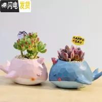 三维工匠zakka田园多肉花盆可爱卡通动物花盆鲸鱼花园派对创意小花盆套 鲸鱼一对+乙女心+绮罗双头+花插配土+铺花盆容器