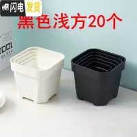 三维工匠经典加强特厚黑白小方大方多肉家庭园艺植物塑料磨砂浅方花盆 黑色浅方20个 6.5cm口径花盆容器