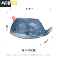 三维工匠zakka田园多肉花盆可爱卡通动物花盆鲸鱼花园派对创意小花盆套餐 深蓝色鲸鱼岛蓝色单盆 小花盆容器