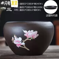 三维工匠紫砂花盆陶瓷中等中国风带托盘创意绿萝个性多肉花盆 玉兰花紫砂单个(送塑料托盘) 中等花盆容器