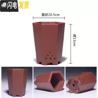 三维工匠紫砂素盆光面小花盆马长方形多肉六方四方阳台盆栽盆景肉肉菖蒲 酒红色---素14 中等花盆容器