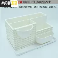 三维工匠创意个性多肉盆北欧风多肉植物花盆肉肉盆树脂塑料长方形大号 花盆+托盘+矿物营养土+陶粒 大花盆容器