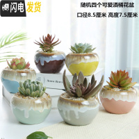 三维工匠多肉花盆陶瓷带托盘粗陶复古素烧紫砂家用创意大小简约 随机四个可爱酒桶花盆 小花盆容器