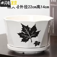 三维工匠花盆陶瓷创意个性两个大号特大号带托盘家用绿萝多肉花盆 桔色菱枫叶一个特大 大花盆容器